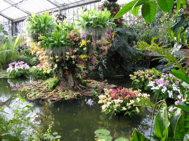 Королевский ботанический сад в Кью