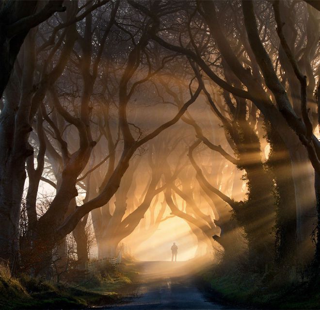 Буковая аллея Dark Hedges Северная Ирландия