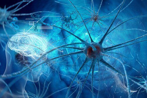 мозговые нейроны