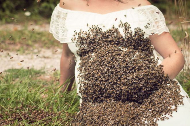пчелы и женщины