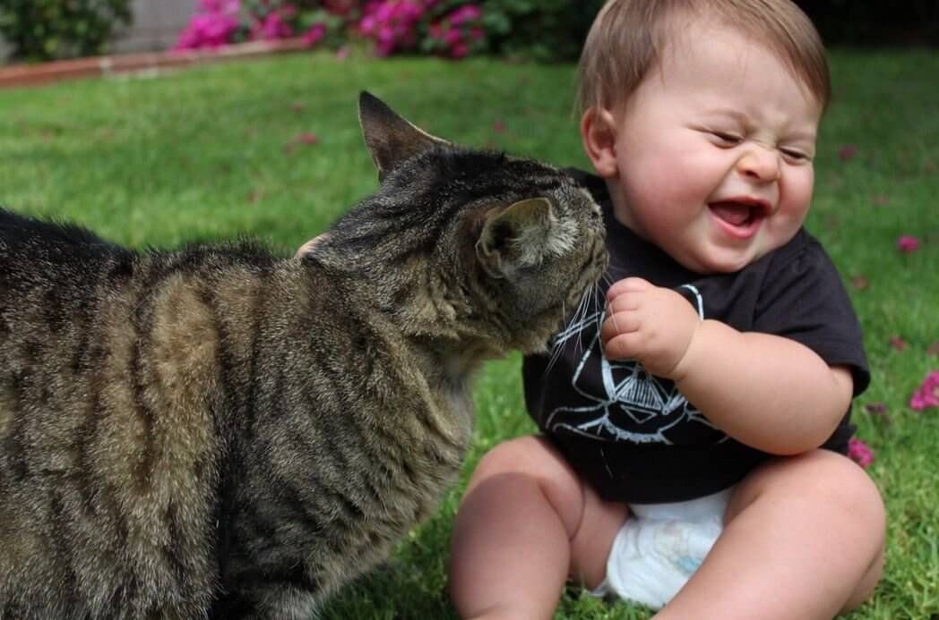 Ребенок и кошка