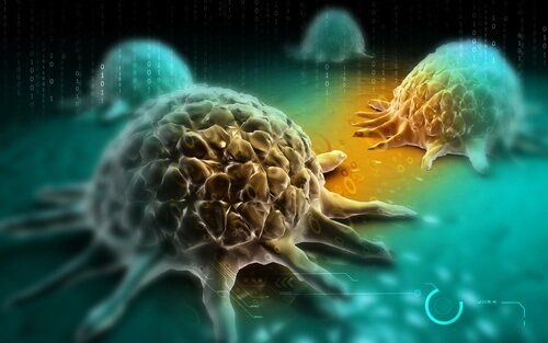 Раковые клетки и брокколи в рационе