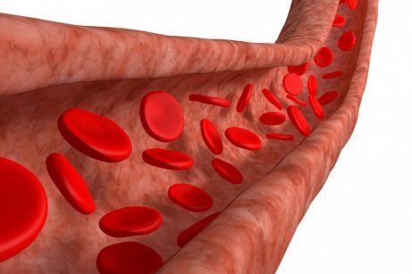 Клетки крови имеют гипертонию