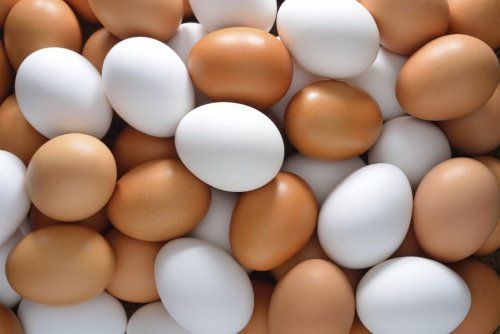 Богатые яйцами витамина B12