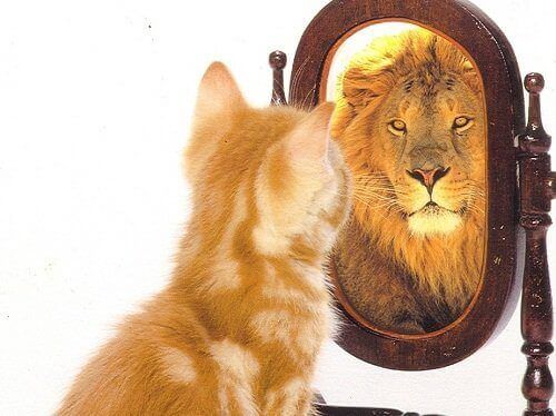 Отражение льва в зеркале