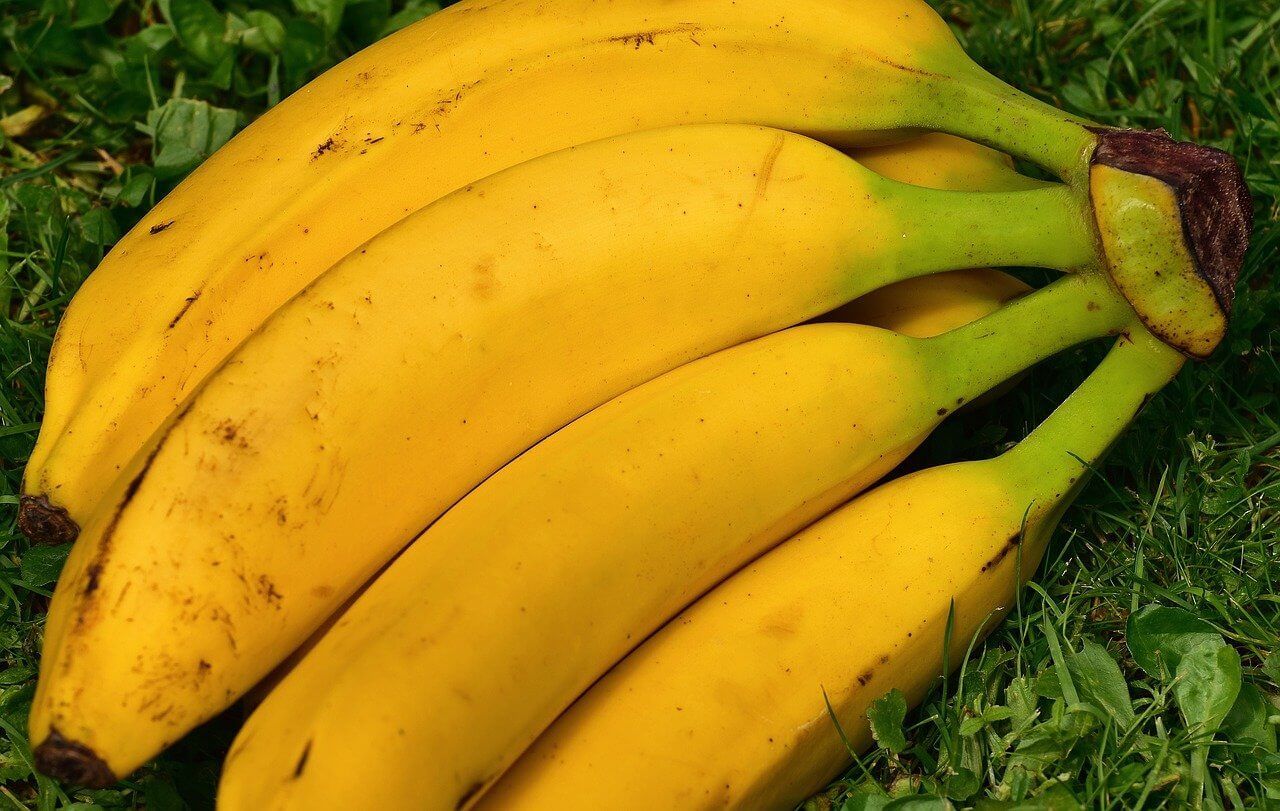 Букет зрелых бананов