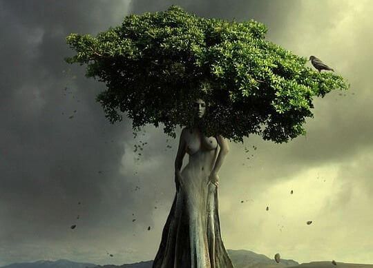 женщина, превращенная в дерево