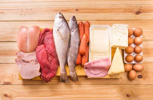 Рыбы и молочные продукты: источники животного белка