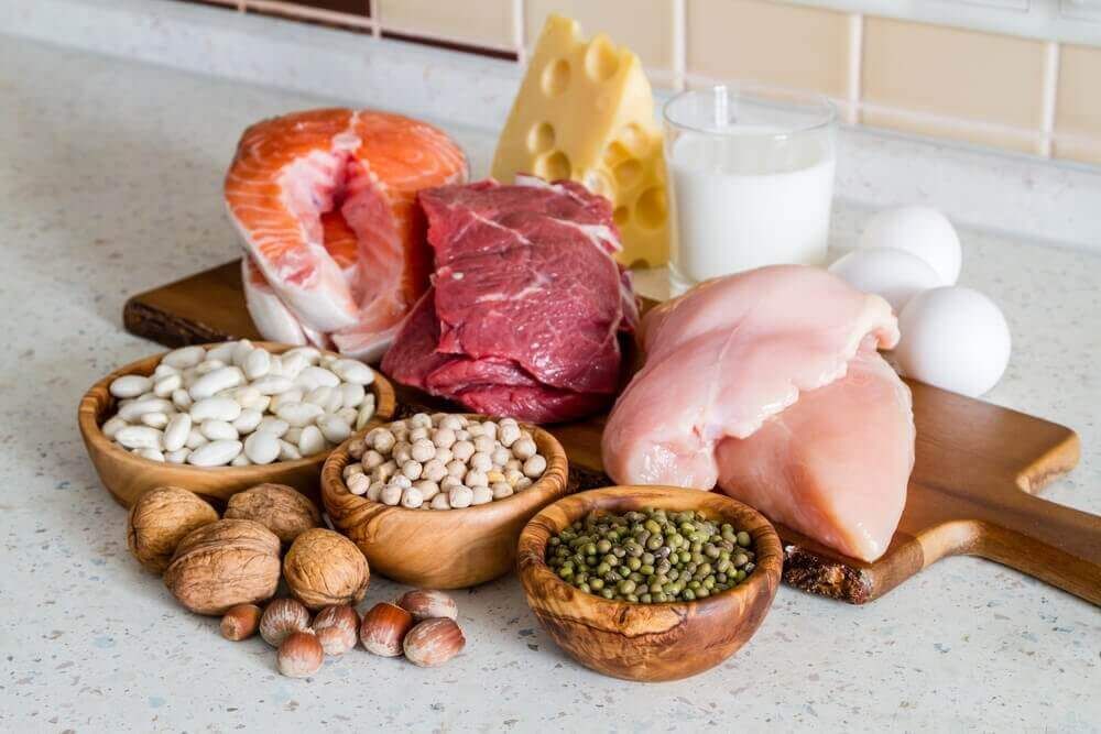 Источники белка и жиров
