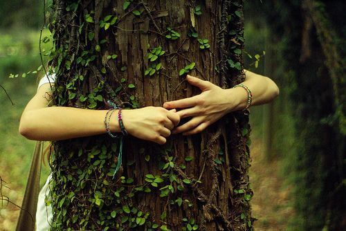 Женщина обнимает дерево