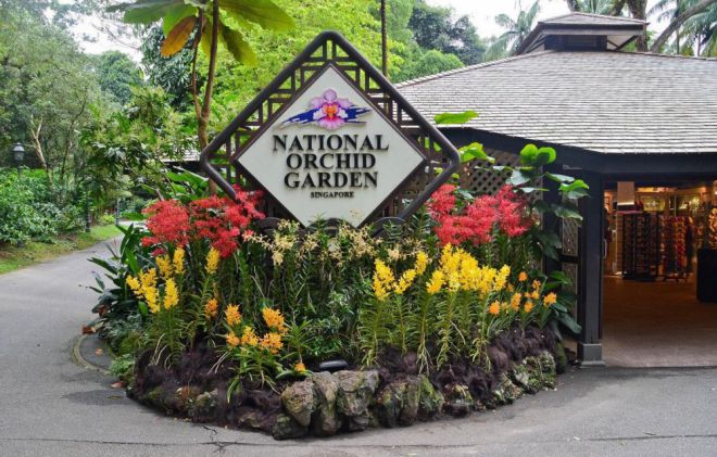Сингапурские ботанические сады