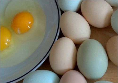 яйца и здоровье