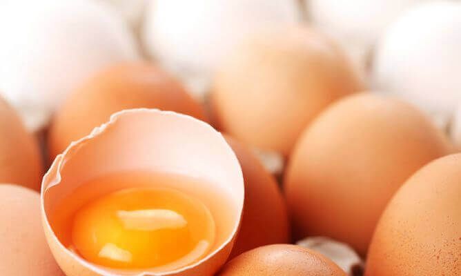 куриные яйца и яичный белок
