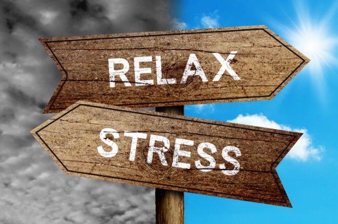 Как преодолеть стресс?