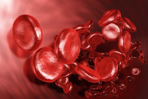 Красные кровяные клетки