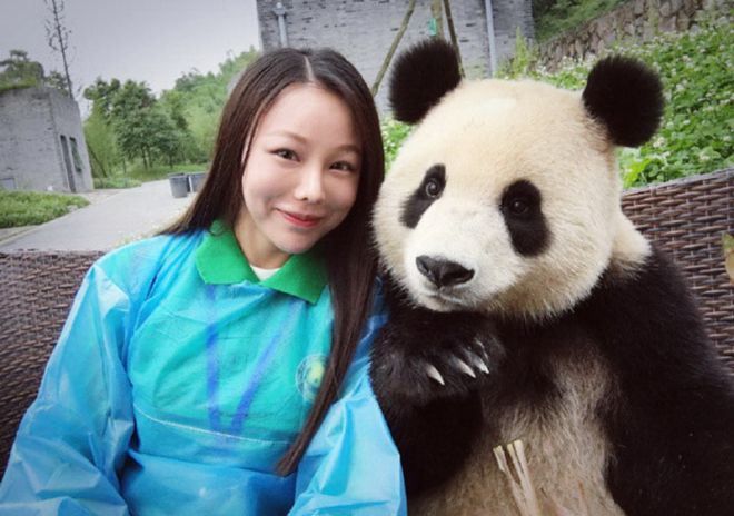 Эта панда овладела искусством эгоистов