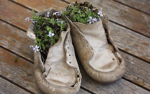 цветы в обуви