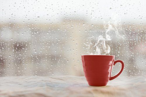 Чашка горячего чая у окна в дождливый день