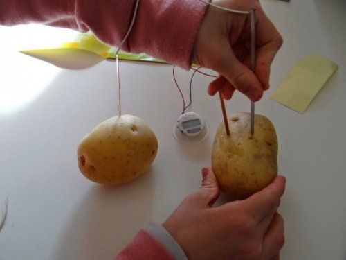 картофельный ток 2