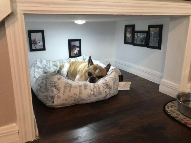 Комната этой собаки выглядит лучше, чем ваша