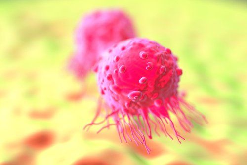 Иммунотерапия раковых клеток