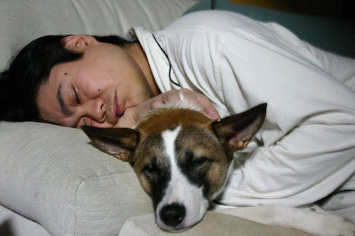 Спящий человек с собакой
