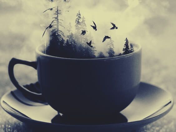 Кофейная чашка и лес.