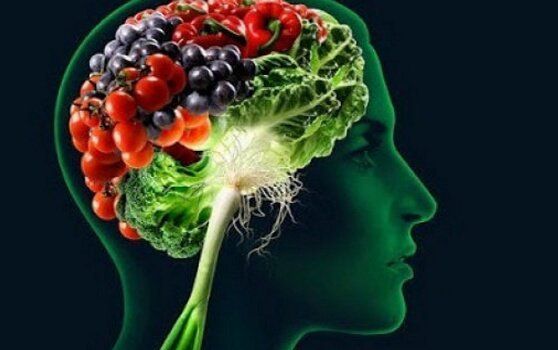 Мозг, овощи и фрукты.