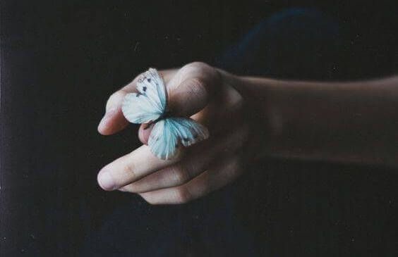 бабочка на пальце