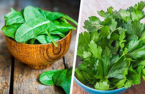 Зеленые листовые овощи для страхов