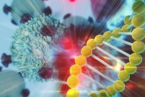 Исследователи открывают механизмы инактивации Х-хромосомы.