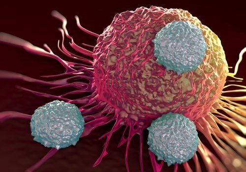Раковые клетки и рак полости рта