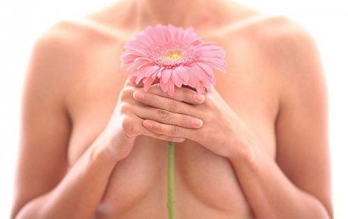 цветок, удерживаемый женщиной
