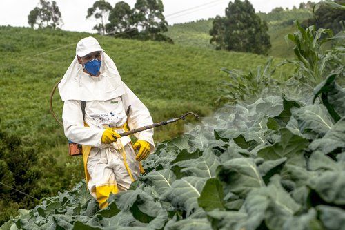 пестициды