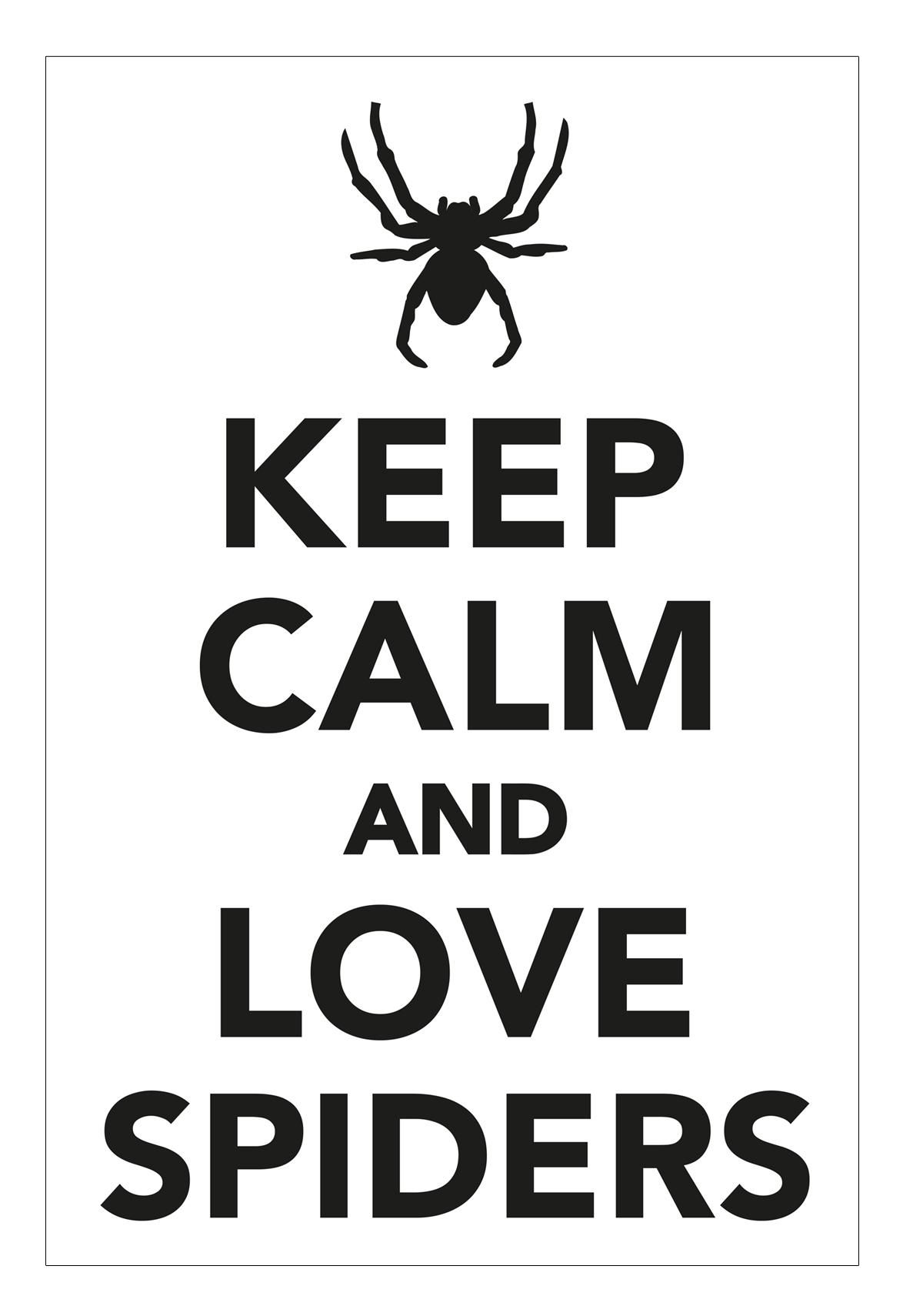Сохраняйте спокойствие и любите пауков