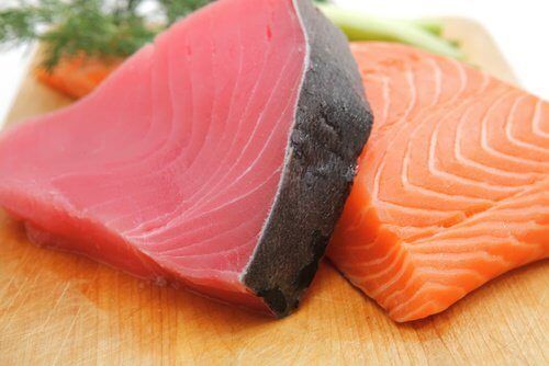 масляный рыбный лосось и растительность мышц туны
