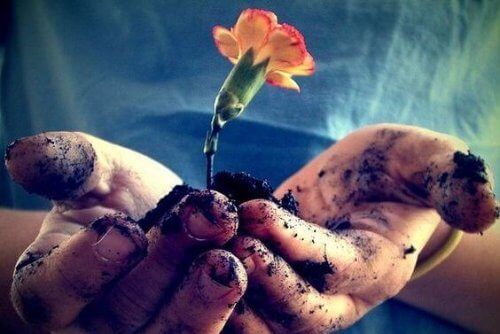 Цветок в руках - символ надежды и рака