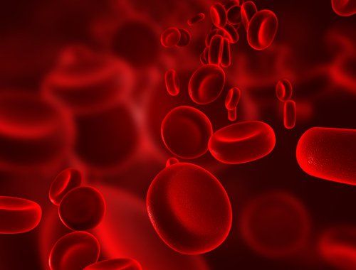 Поток клеток крови