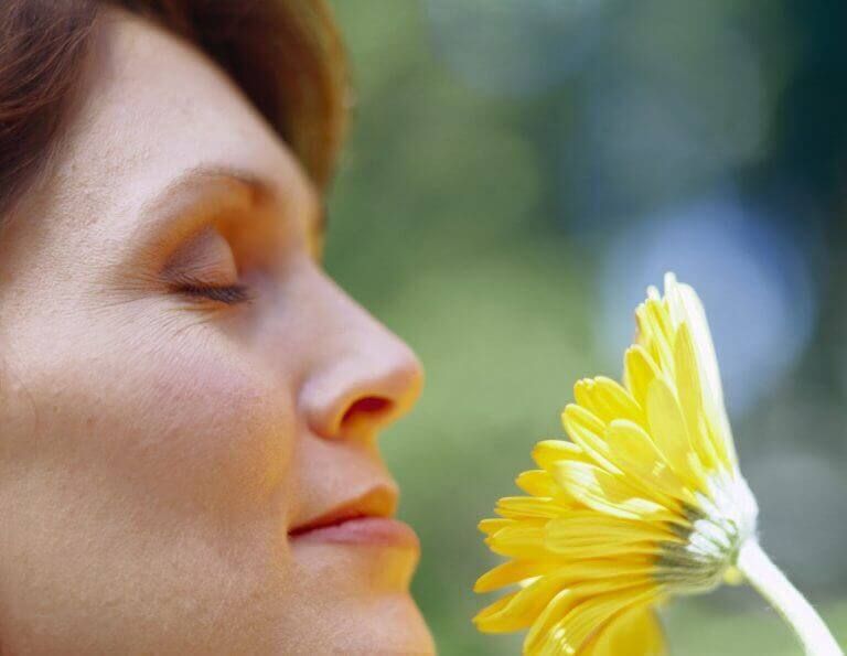 Женщина, пахнущая цветком, растения