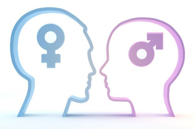 Различия в структуре мозга женщин и мужчин