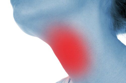 Расположение щитовидной железы