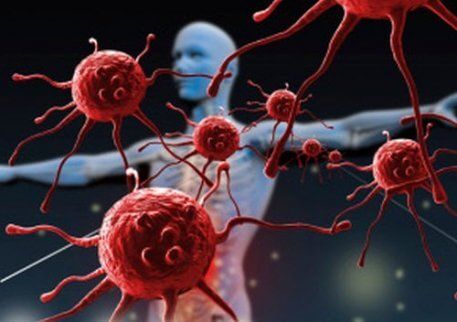 Клетки крови, нейроны. Недостаток ослабляет наш иммунитет