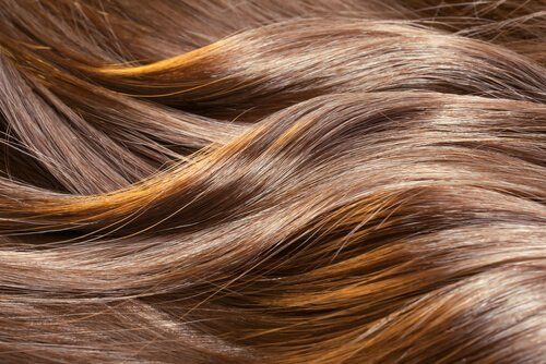 Средство для волос - волос из яиц