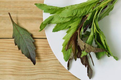 Сушеные листья и травяной чай