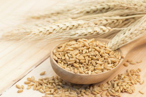 Зерновые зерна - здоровый источник углеводов