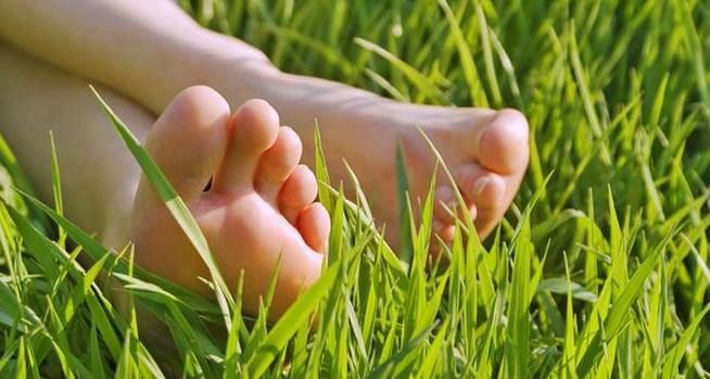 3 #: Ноги на grass-feet.jpg