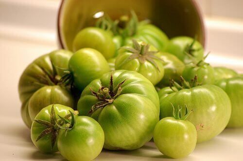 Зеленые помидоры для варикозного расширения вен