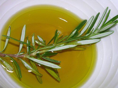 Веточка розмарина в оливковом масле
