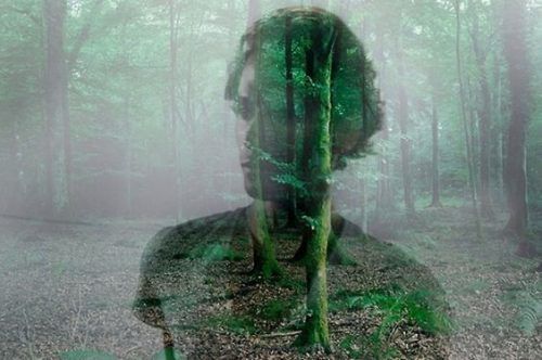 Человек на фоне леса