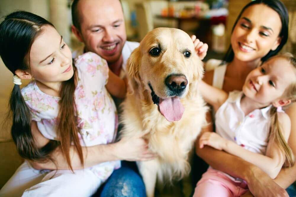собака также является членом семьи